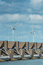 BUITEN BEELD Foto: 312667