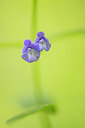 BUITEN BEELD Foto: 312688