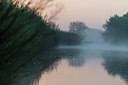 BUITEN BEELD Foto: 312715