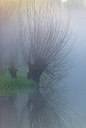 BUITEN BEELD Foto: 312731
