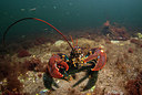BUITEN BEELD Foto: 312752