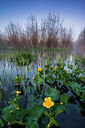 BUITEN BEELD Foto: 312765