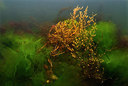 BUITEN BEELD Foto: 312766
