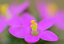 BUITEN BEELD Foto: 312778
