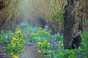 BUITEN BEELD Foto: 312782