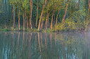 BUITEN BEELD Foto: 312799