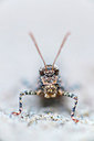 BUITEN BEELD Foto: 312804