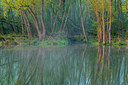 BUITEN BEELD Foto: 312838