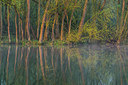 BUITEN BEELD Foto: 312851