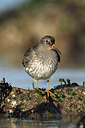 BUITEN BEELD Foto: 312911