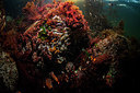 BUITEN BEELD Foto: 312956