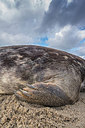 BUITEN BEELD Foto: 312967