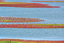 BUITEN BEELD Foto: 313212