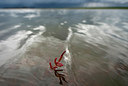 BUITEN BEELD Foto: 313272
