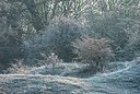 BUITEN BEELD Foto: 313274