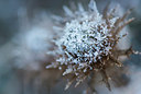 BUITEN BEELD Foto: 313311