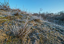 BUITEN BEELD Foto: 313471