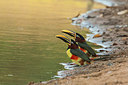 BUITEN BEELD Foto: 313727