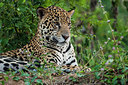 BUITEN BEELD Foto: 313743