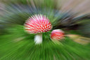 BUITEN BEELD Foto: 313866