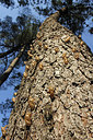 BUITEN BEELD Foto: 313915