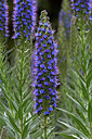 BUITEN BEELD Foto: 313930