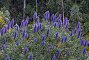 BUITEN BEELD Foto: 313931