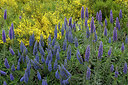 BUITEN BEELD Foto: 313935
