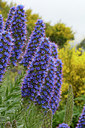BUITEN BEELD Foto: 313936