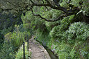 BUITEN BEELD Foto: 313940