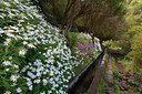 BUITEN BEELD Foto: 313941
