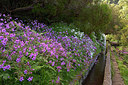 BUITEN BEELD Foto: 313942