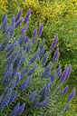 BUITEN BEELD Foto: 313957