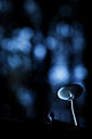 BUITEN BEELD Foto: 313992