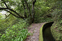 BUITEN BEELD Foto: 314002
