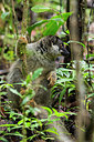BUITEN BEELD Foto: 314007