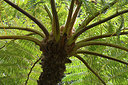 BUITEN BEELD Foto: 314022
