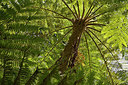 BUITEN BEELD Foto: 314024