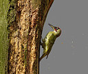 BUITEN BEELD Foto: 314116