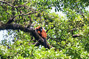 BUITEN BEELD Foto: 314168
