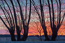 BUITEN BEELD Foto: 314197