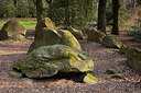 BUITEN BEELD Foto: 314247