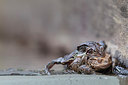BUITEN BEELD Foto: 314254
