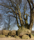 BUITEN BEELD Foto: 314262
