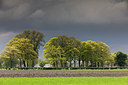 BUITEN BEELD Foto: 314264