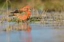BUITEN BEELD Foto: 314269