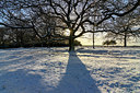 BUITEN BEELD Foto: 314278