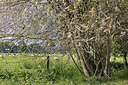 BUITEN BEELD Foto: 314280