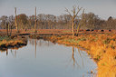 BUITEN BEELD Foto: 314289
