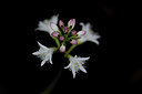 BUITEN BEELD Foto: 314463